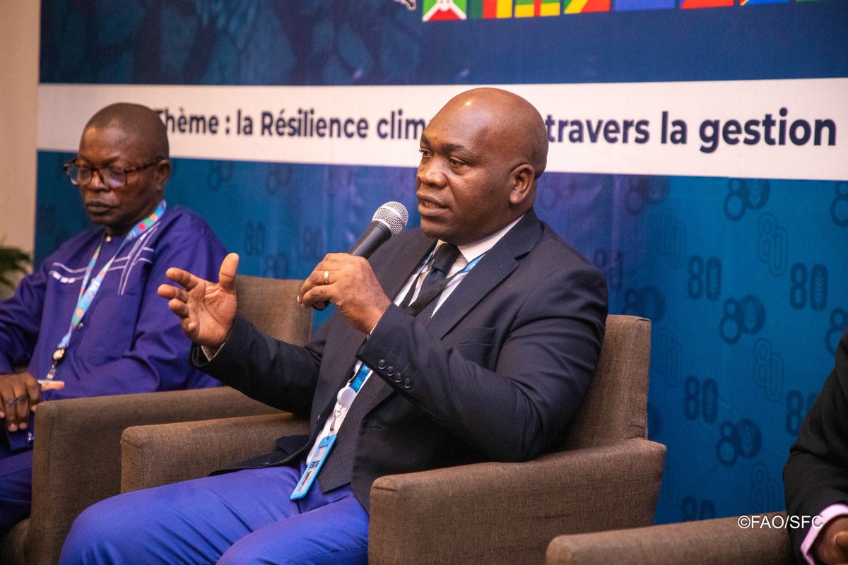 💡Comment mobiliser des financements innovants pour renforcer la résilience climatique et la gestion durable des ressources naturelles en Afrique centrale? 🌍

👉Au #MDT18 🇬🇦, partenariats FAO-pays, alliances stratégiques et expériences nationales sont au cœur des échanges.🔗