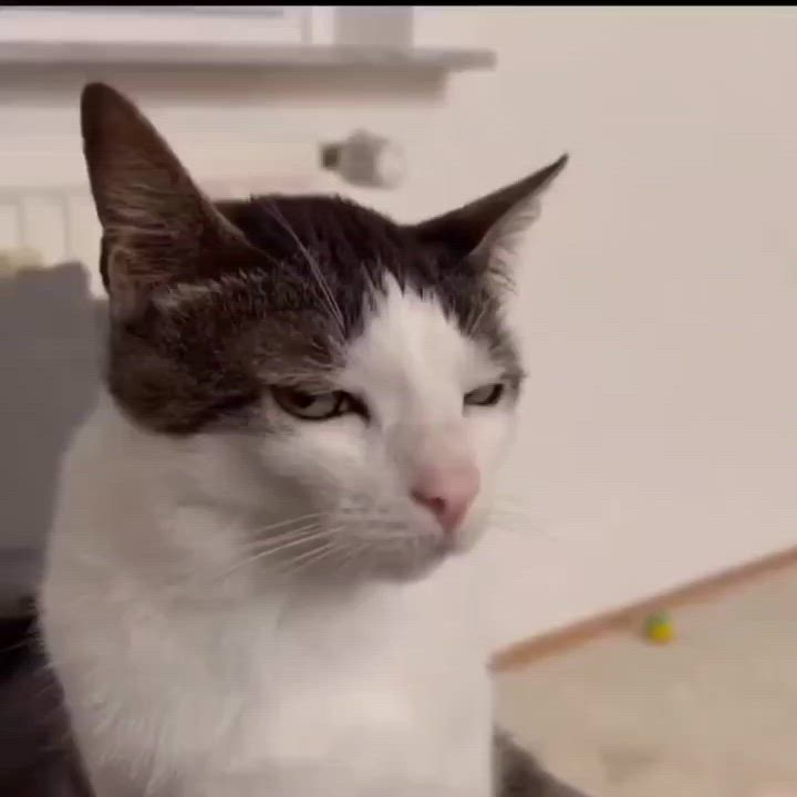 vxunderground's tweet image. This was meant to be an attempt at being funny and introducing some people to the goopy goop of the WINAPI.

This was not meant to be a 1337 analysis and retrospective analysis on backward compatibility