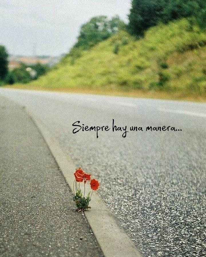 EliasMarco9634's tweet image. No te quedes pensando en soluciones mágicas, siempre hay respuestas y muchas veces la solución es la más sencilla