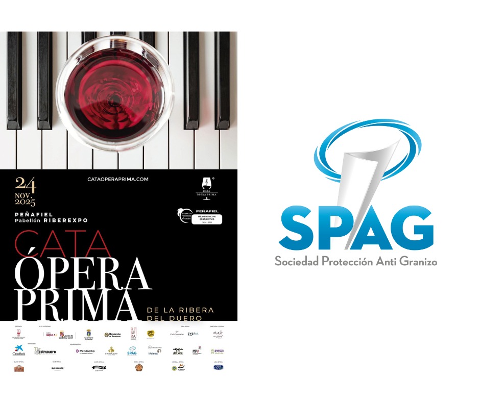 CataOperaPrima's tweet photo. 👌🏻 PATROCINADORES

🍷 La XV Gran @CataOperaPrima de @DORibera no sería posible sin apoyo de patrocinadores y colaboradores

➡️ @spag_es es parte importante del mayor evento de promoción de vino @DORibera de este otoño

👉🏻 https://t.co/GC5zeCiK6f https://t.co/Cu4cZs0RSJ