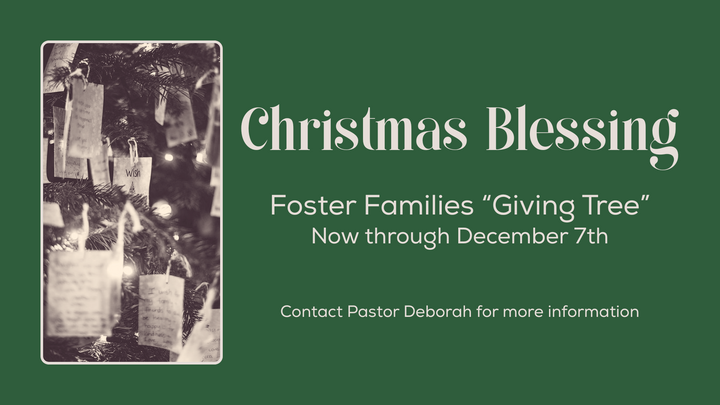 CIL provides Christmas presents for foster family children through the Christmas Blessing. 

Starting this Sunday, choose a tag from the Christmas tree in the CIL lobby, and shop for the child described on the tag, providing as many of the wished for items as possible!