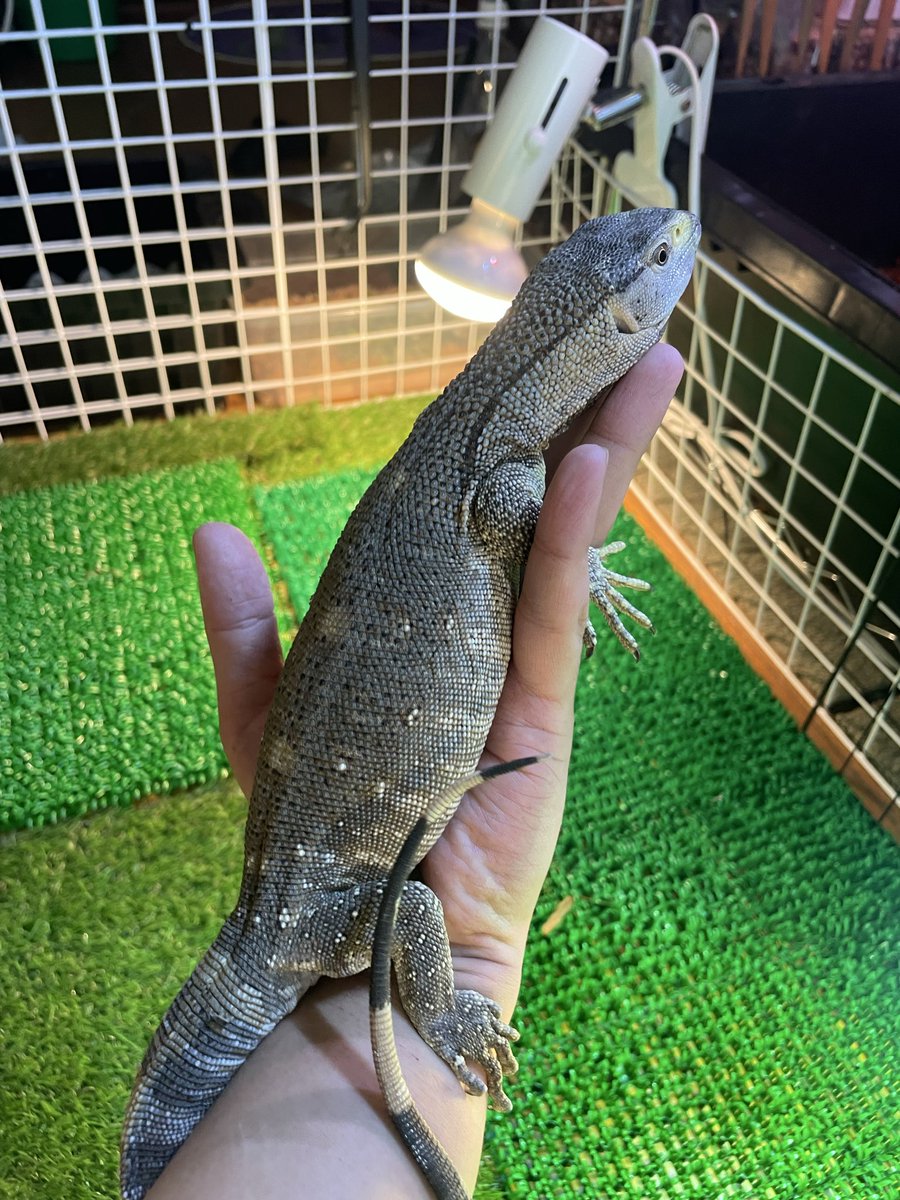 どん底太郎ch (@yc_fyq) / Posts / X