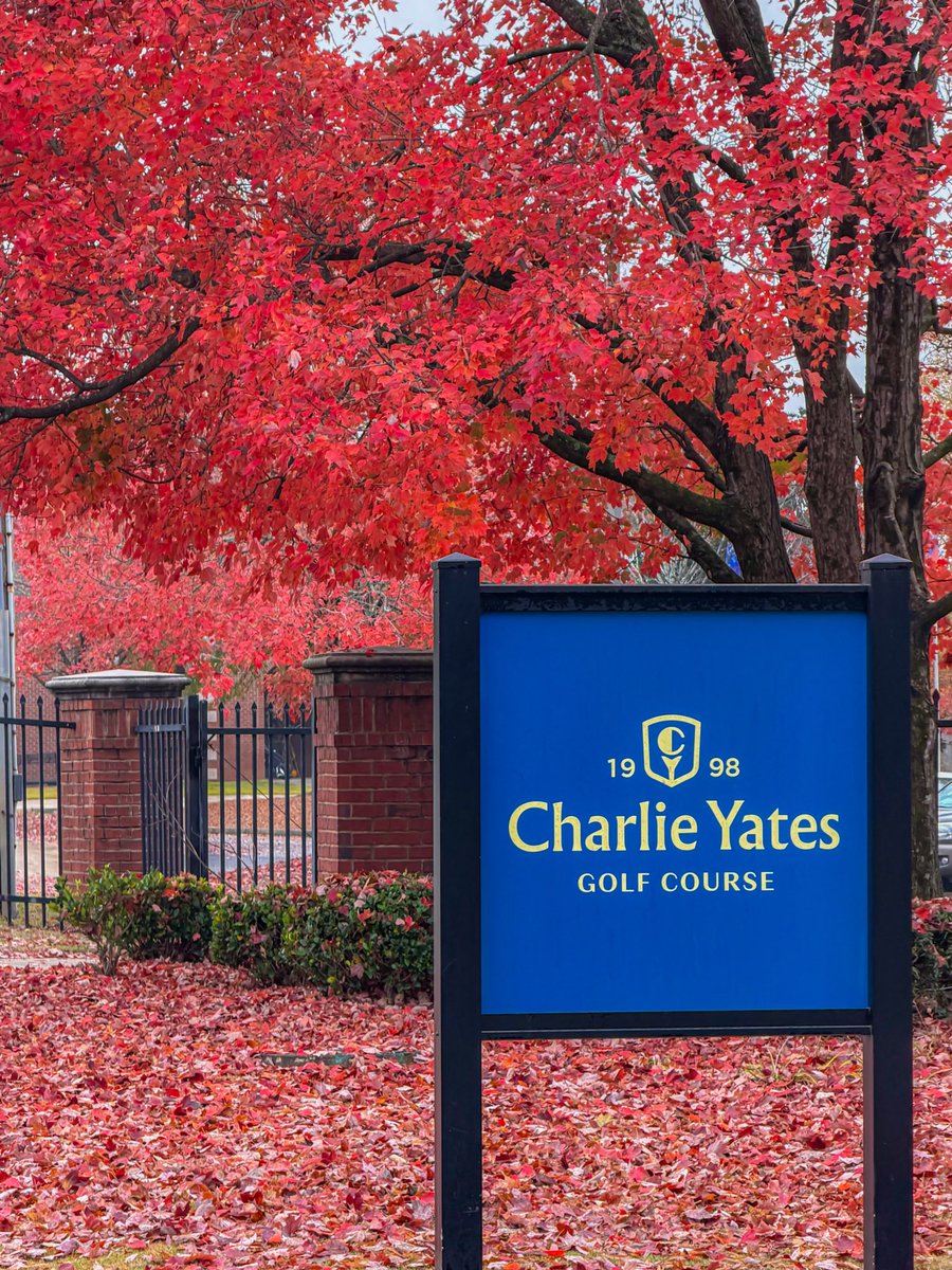 Charlie Yates GC tweet media