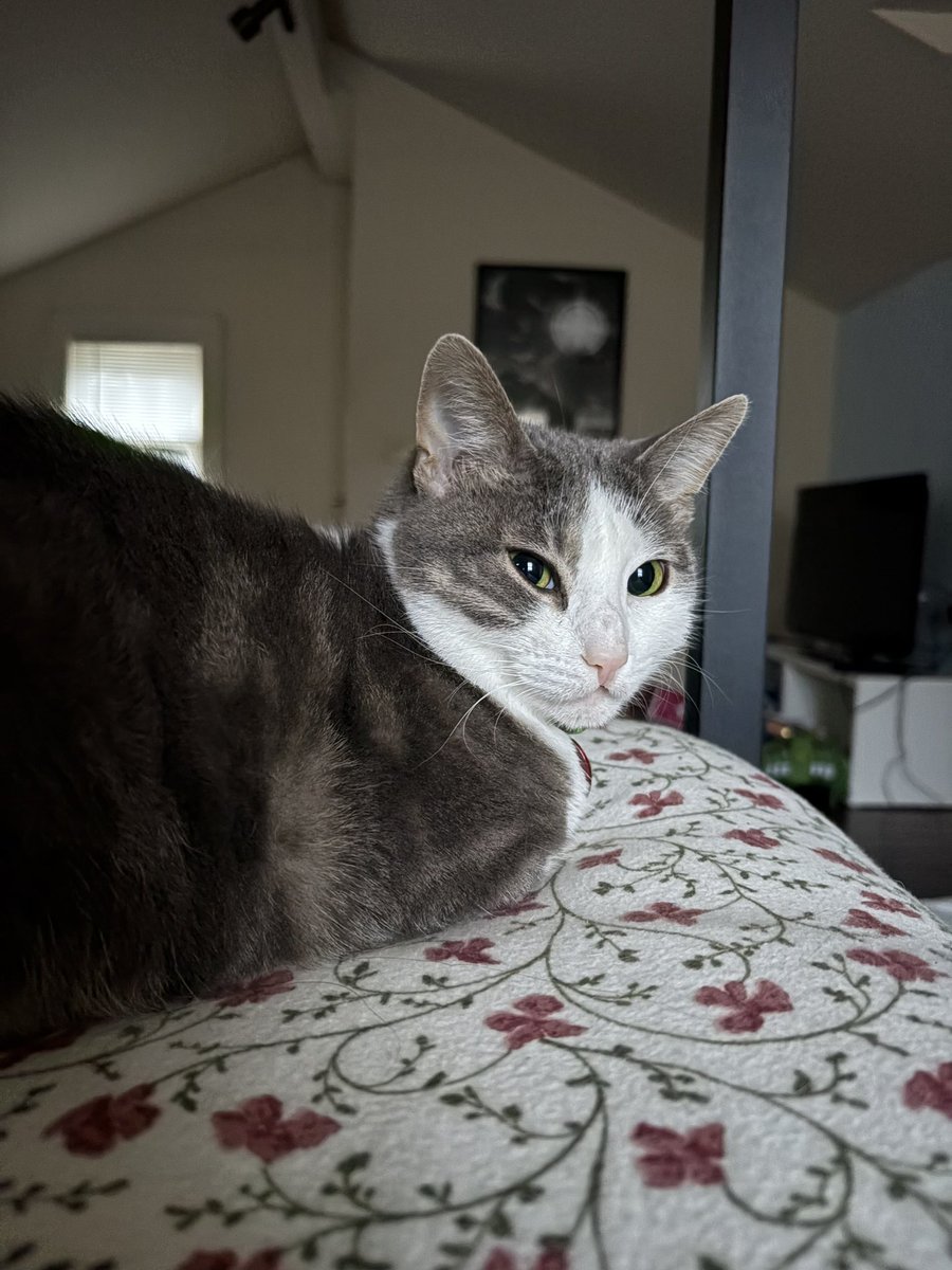 happy Thursday! Almost the weekend!😻