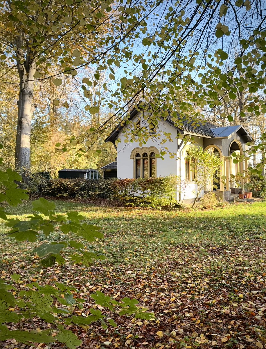 groovy_pat's tweet image. Last Sunday I left  my 17 Pro Max at home, and used an iPhone 16e📱 for these shots! First 3 shots I used the ‘Panorama’ feature vertically. So much fun!😃
#shotoniphone #forest #reflection #shotoniphone16e