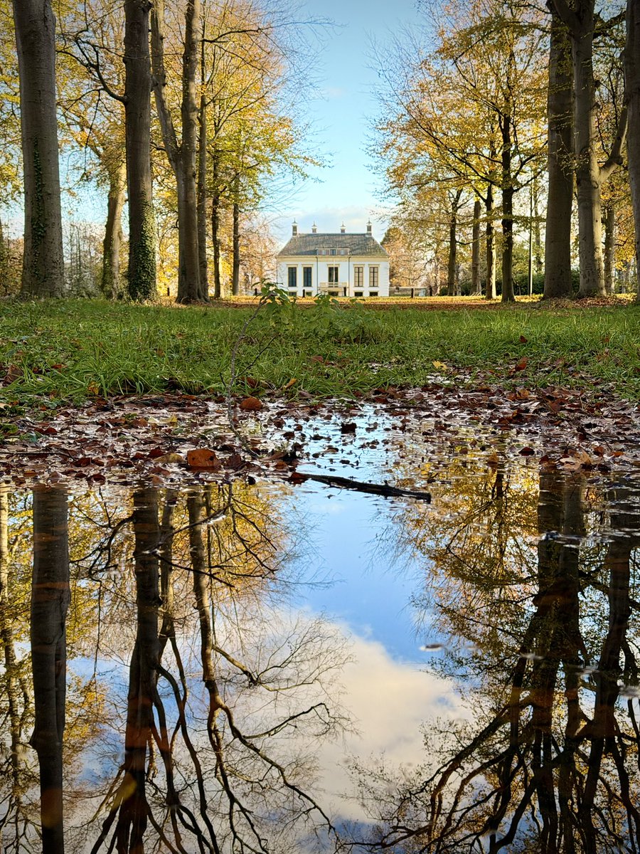 groovy_pat's tweet image. Last Sunday I left  my 17 Pro Max at home, and used an iPhone 16e📱 for these shots! First 3 shots I used the ‘Panorama’ feature vertically. So much fun!😃
#shotoniphone #forest #reflection #shotoniphone16e