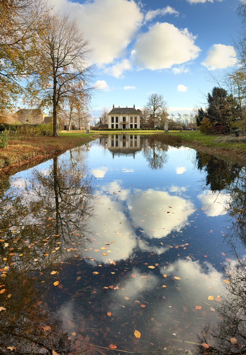 groovy_pat's tweet image. Last Sunday I left  my 17 Pro Max at home, and used an iPhone 16e📱 for these shots! First 3 shots I used the ‘Panorama’ feature vertically. So much fun!😃
#shotoniphone #forest #reflection #shotoniphone16e