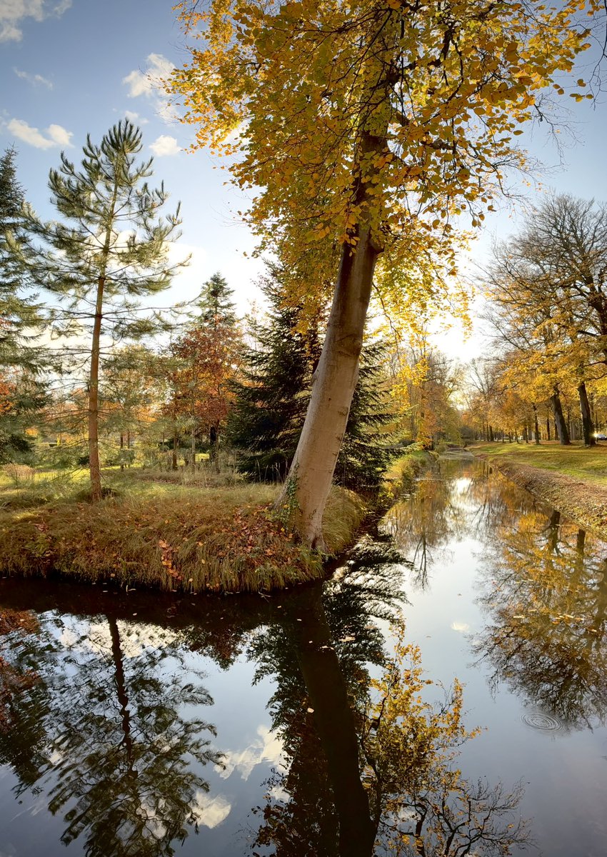 groovy_pat's tweet image. Last Sunday I left  my 17 Pro Max at home, and used an iPhone 16e📱 for these shots! First 3 shots I used the ‘Panorama’ feature vertically. So much fun!😃
#shotoniphone #forest #reflection #shotoniphone16e