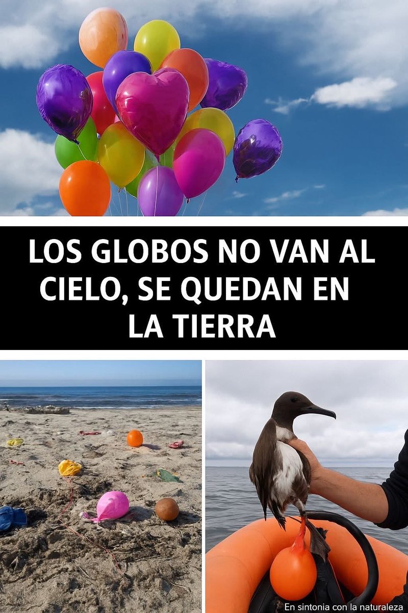 Tunquén Sustentable (@tunquensustent) on Twitter photo 