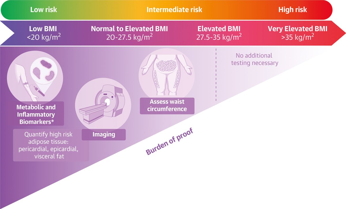 IllinoisACC's tweet image. Dysfunctional adiposity plays a key role in #HFpEF—but are we measuring it right? 🧠

@JACCJournals calls for multidimensional tools that integrate imaging, biomarkers &amp;amp; body composition.

🔗 jacc.org/doi/10.1016/j.…

#Cardiology #HeartHealth @JLHarrington_MD @NutritionHF