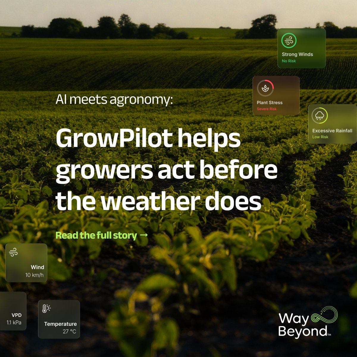 WayBeyond tweet media