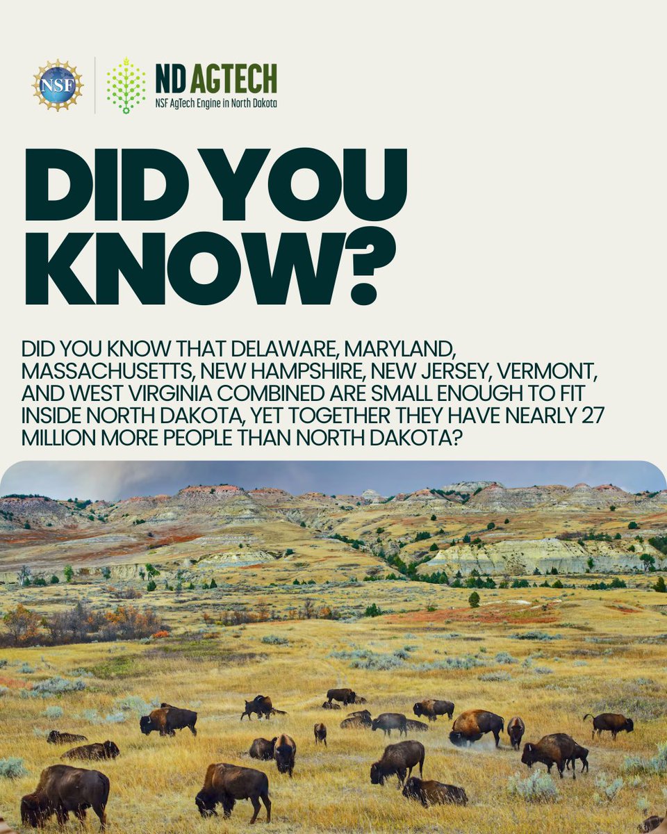 NDAgTechEngine's tweet image. Still, it’s North Dakota’s wide-open fields that help feed all those people, ranking among the country’s leaders in crops like wheat and canola. 🌾