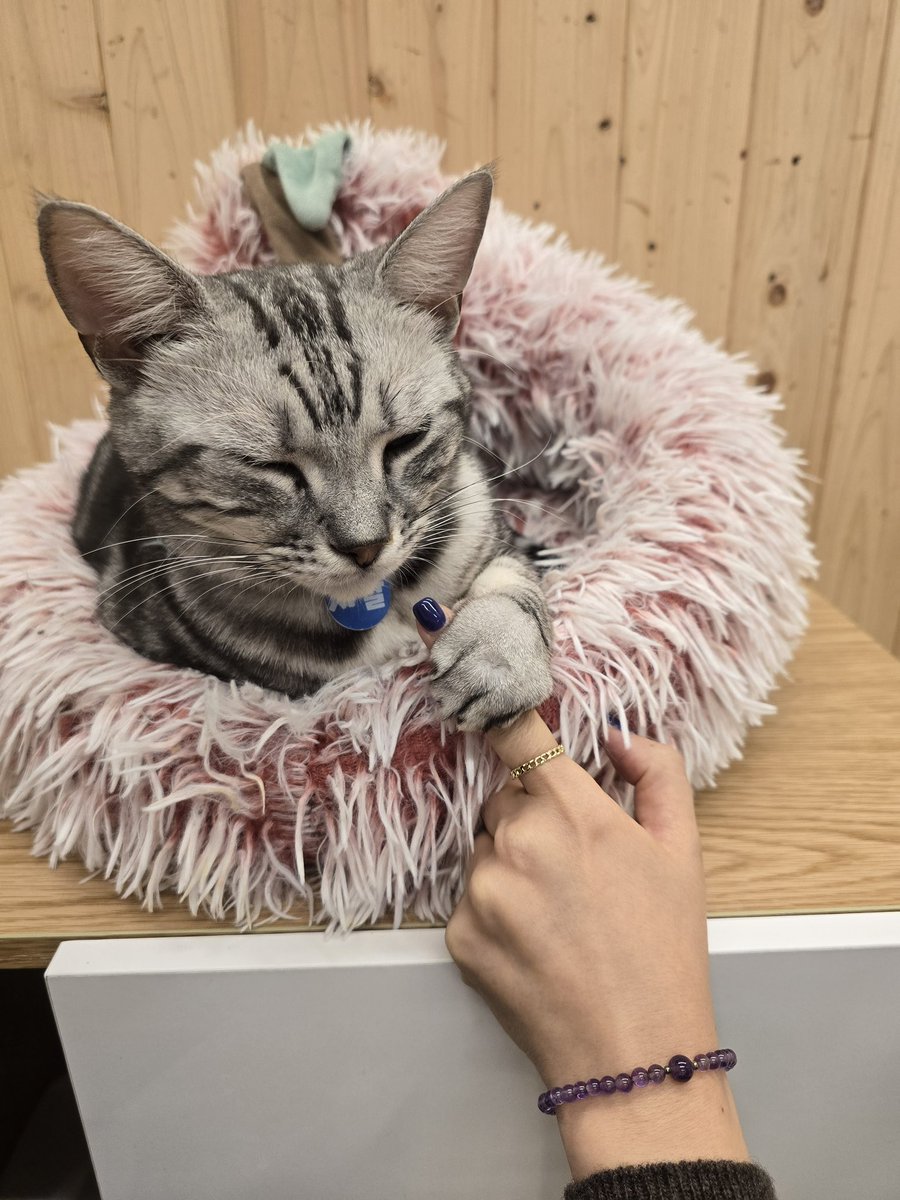 오후부텀 바빠져서 대충 탐라 상황 듣고 
내적 씍씍만 댔네
일주일 빡센 야근으로 잠시 또 느리게 흘러갑니다
힐링 사진 봐야지
ㅅㄱ가 내 손가락 잡아줌 부럽쥬

(샤갈임 ㅋㅋㅋ