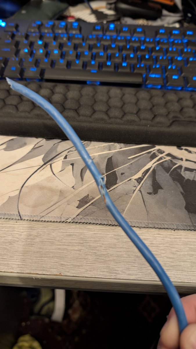 IceTigerZone's tweet image. Stream will be cancelled today!
We have a mouse that’s got into the house and chewed the Ethernet cable! Had to go purchase a powerline adapter so this won’t happen again! 😭