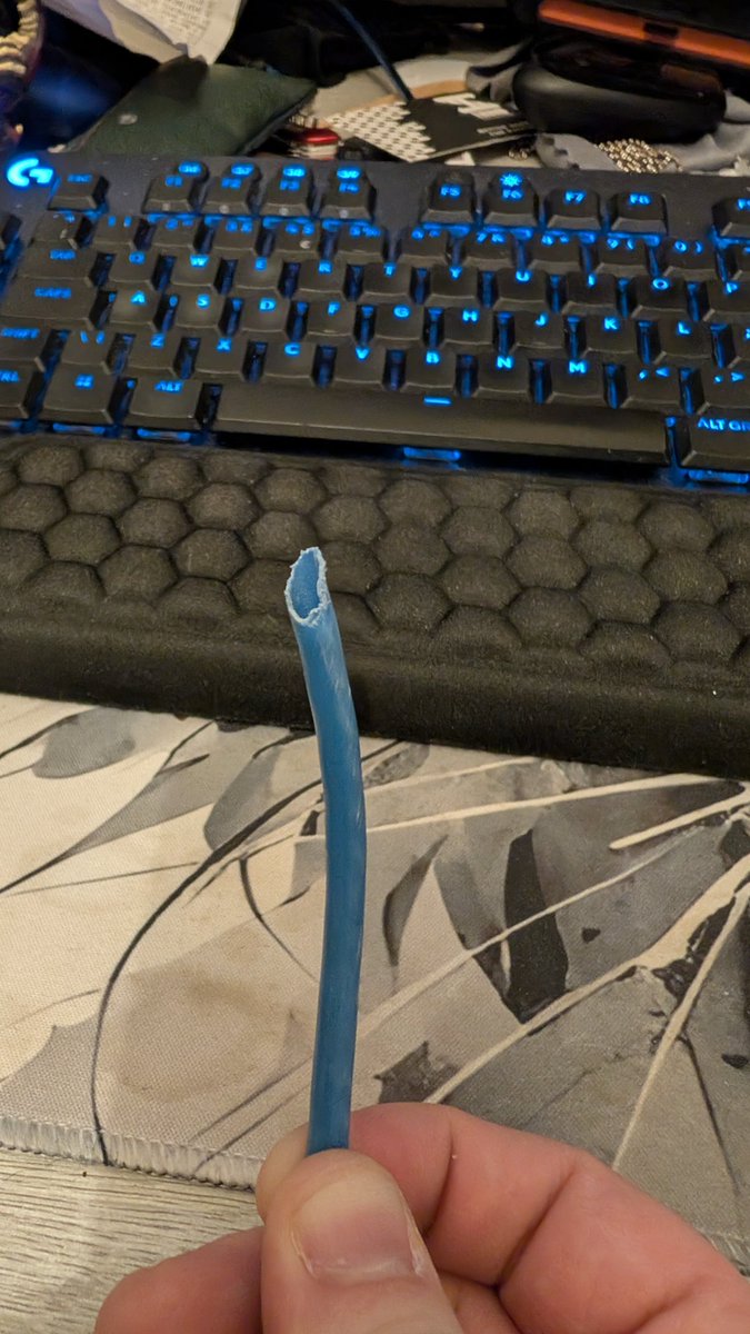 IceTigerZone's tweet image. Stream will be cancelled today!
We have a mouse that’s got into the house and chewed the Ethernet cable! Had to go purchase a powerline adapter so this won’t happen again! 😭