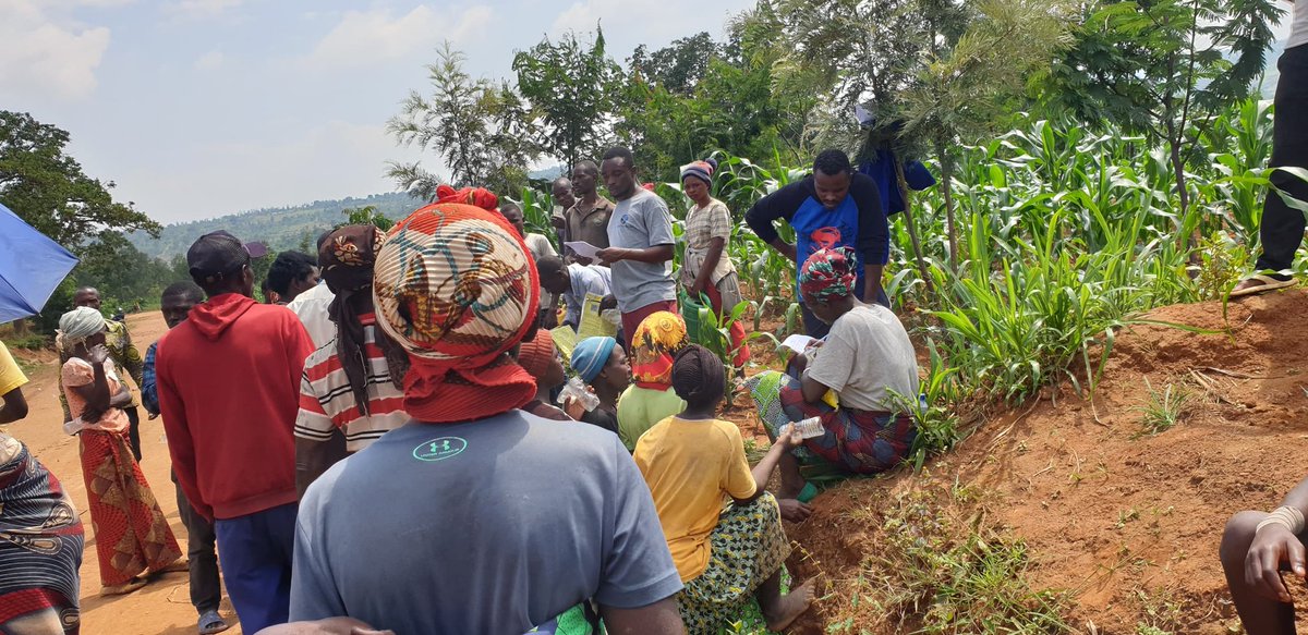Umurenge wa Mareba - Akarere ka Bugesera tweet media