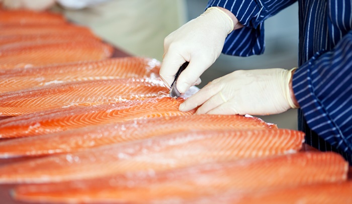 Caen dos bandas criminales por robo de salmones: Vendían producto robado y en mal estado epicentrochile.com/?p=345306
