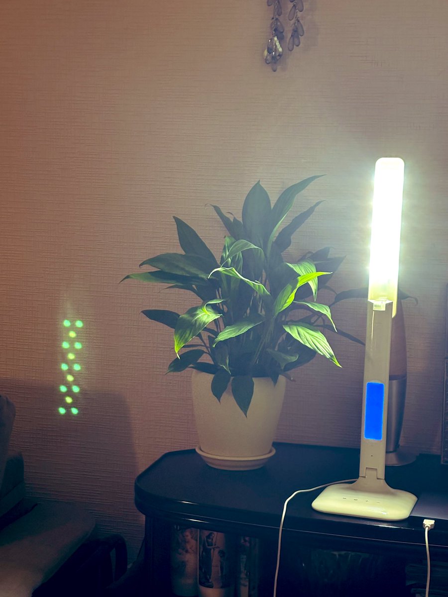 Welcome to Kyiv where electricity is a myth and everything runs on powerbanks, duct tape and pure Ukrainian stubbornness 🤪⚡️🇺🇦 <a href="/TheRealDinges/">Bjorn 🇧🇪🇺🇦🇬🇪</a>