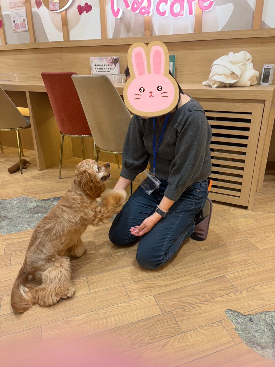 ⭐️希少‼️マルサン製スモーキージョー (3末迄の期間限定) みーちゃん🌹🧡 (@myk3chan) / Posts / X