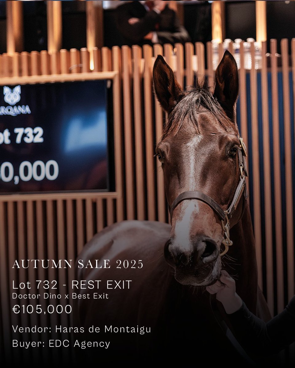 InfoArqana's tweet image. REST EXIT, lot 732, a mare by Doctor Dino in foal for the first time to No Risk At All, sells for €105,000 at the Autumn Sale.

@HarasMontaigu @EDCAGENCY
