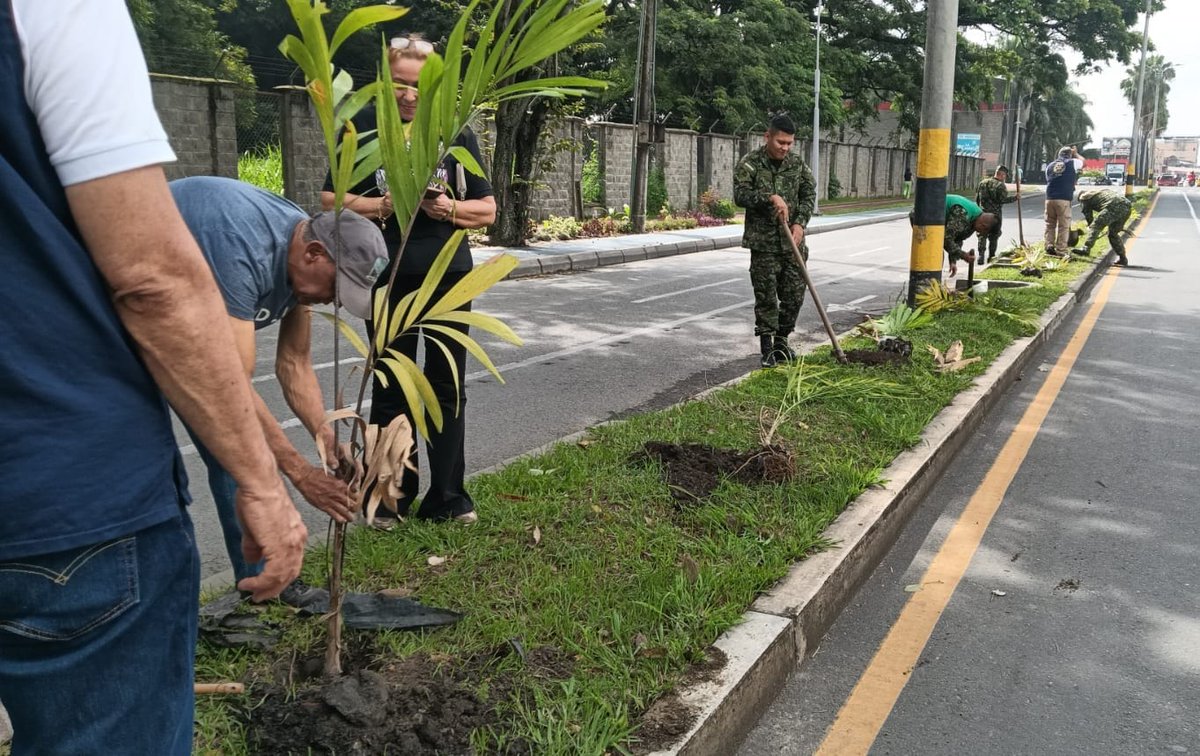 El Batallón de Ingenieros de Combate N.º 3 “Cr. Agustín Codazzi”, en coordinación con el Club Rotario Palmira, realizó una jornada de siembra de plántulas para recuperar zonas verdes, embellecer espacios comunitarios y fortalecer los procesos de reforestación en Palmira.

Con