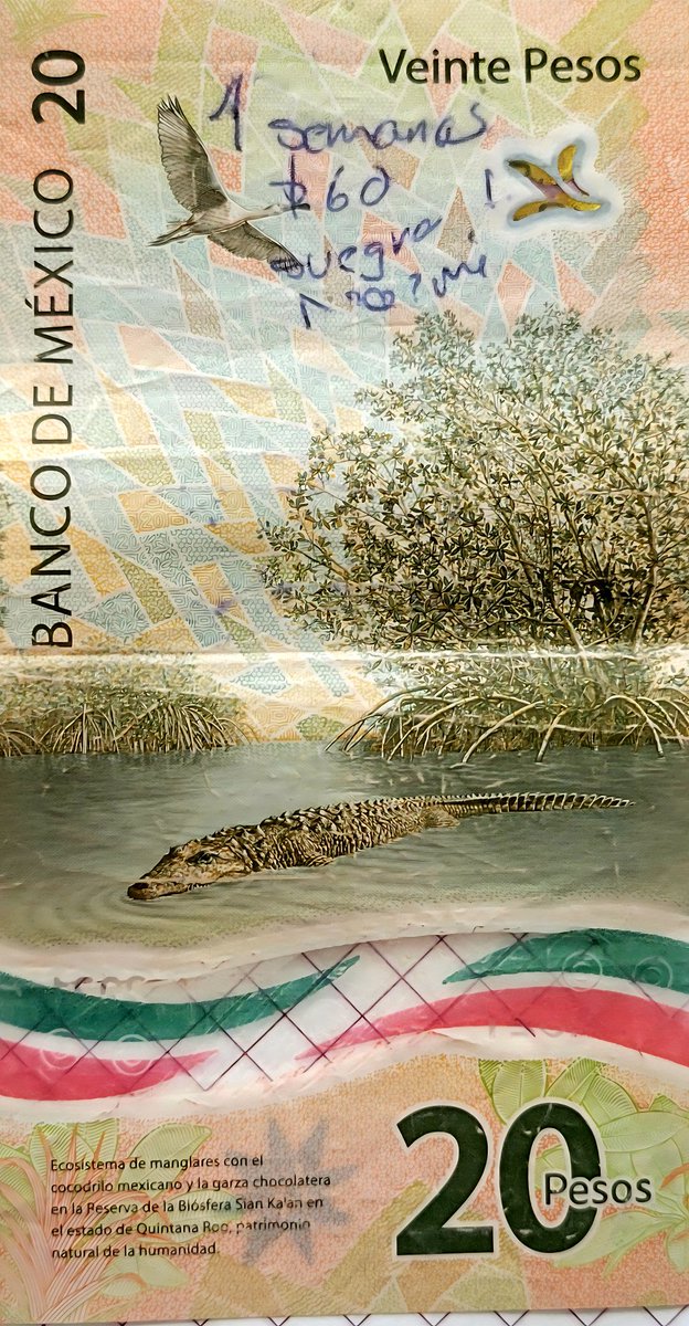 Frasesitas motivadoras ^_^