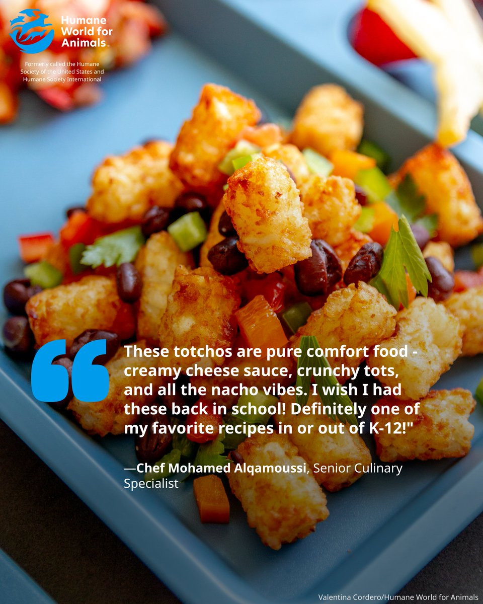 Forward Food tweet media