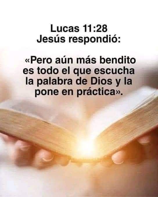 dani1975edm's tweet image. La Gloria es de Cristo Jesús 🙏 
Amén