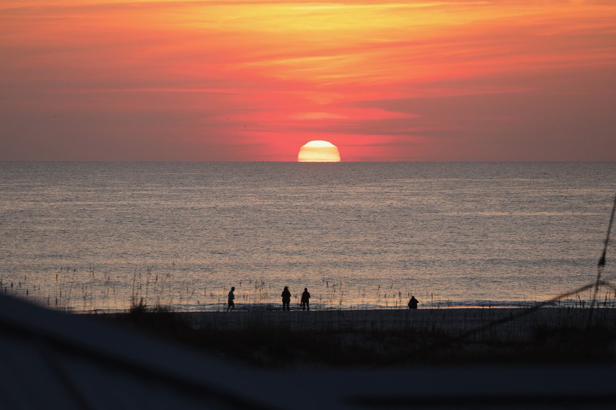 The Surf Station tweet media