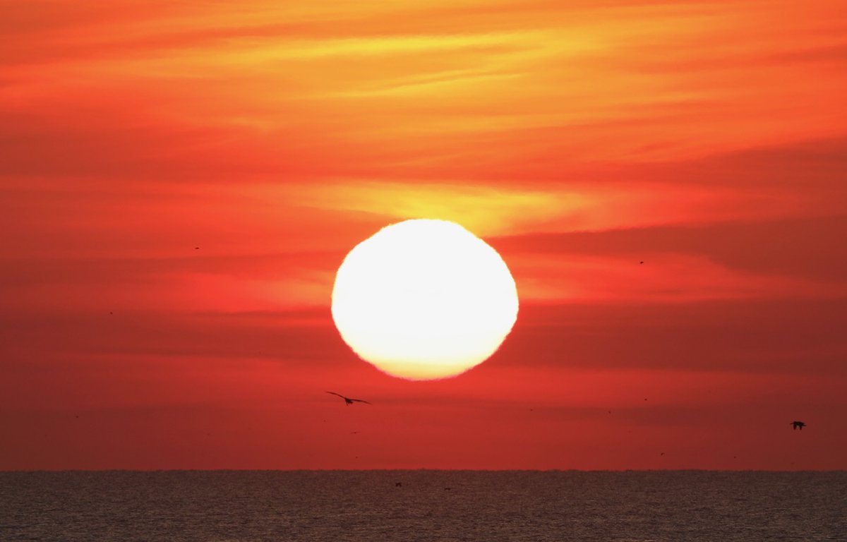 The Surf Station tweet media