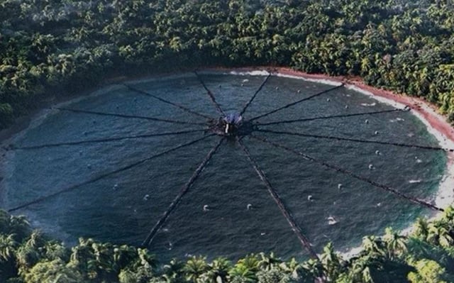 zeglerss's tweet image. the hunger games arenas