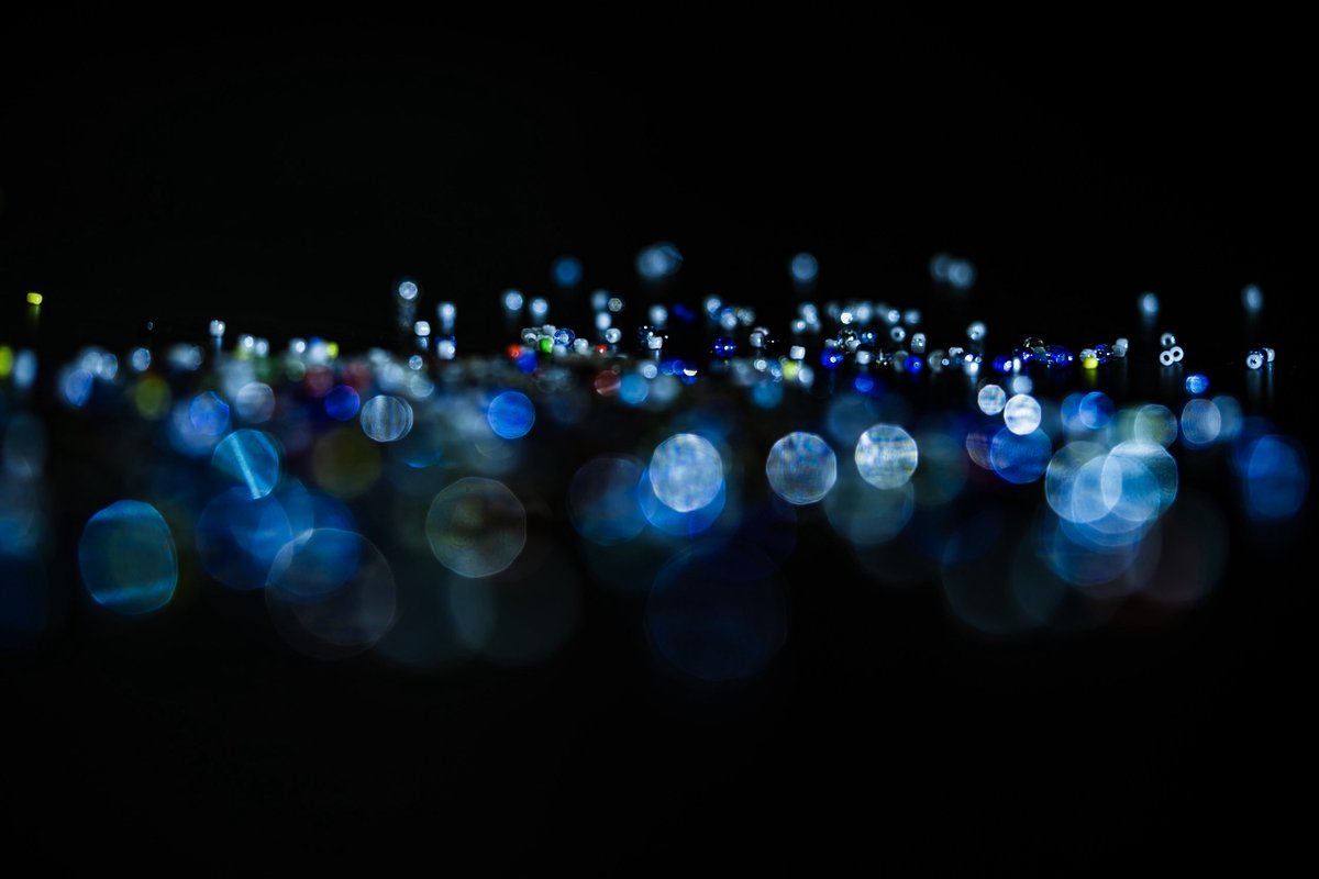 m_masago's tweet image. 今夜は11月の夢をみていた