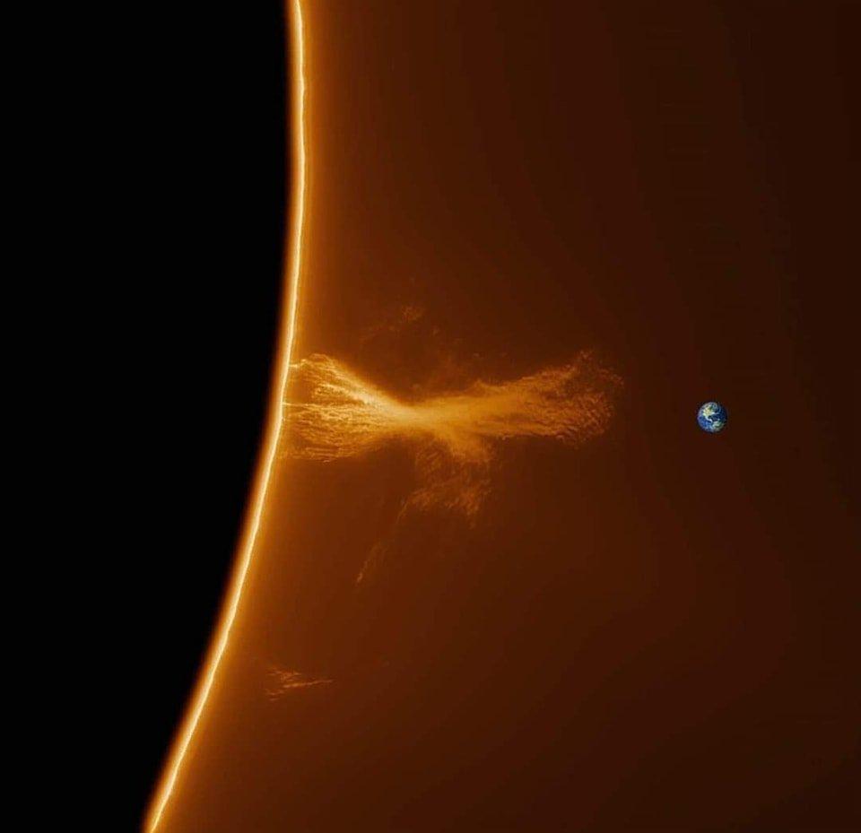 Science Explorist tweet media