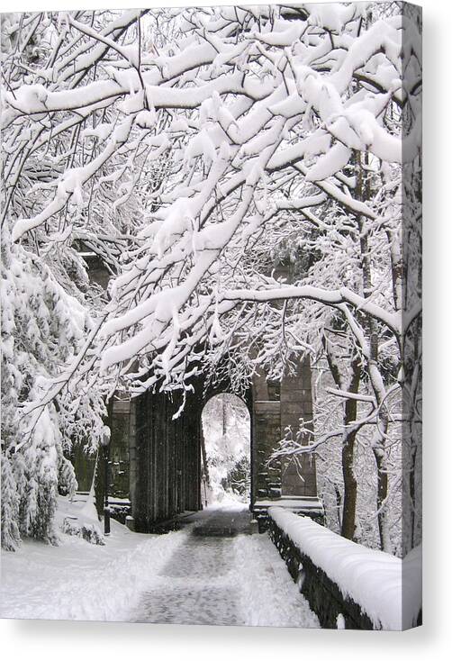 YdaniaOgando's tweet image. ✨Believe in yourself✨
#myphotography

Buy Prints ⇨ bit.ly/2OarNg9

#photography #artforsale #giftideas