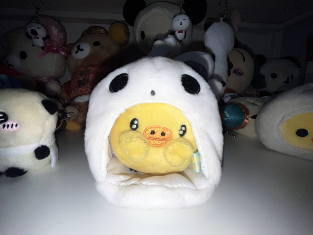 _espressso's tweet image. 