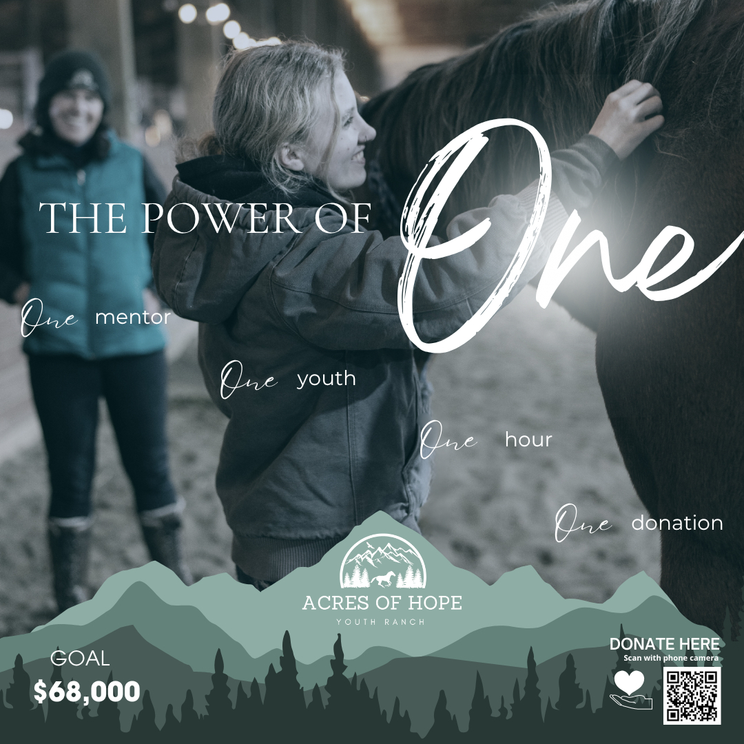Love what our friends at Acres of Hope Youth Ranch are doing to bring the Gospel to hurting kids.

I hope you will join me in helping them raise the funds to add 17 kids to the program.

wl.donorperfect.net/weblink/WebLin…

#hope #youth #Trauma #care #healing #gospel