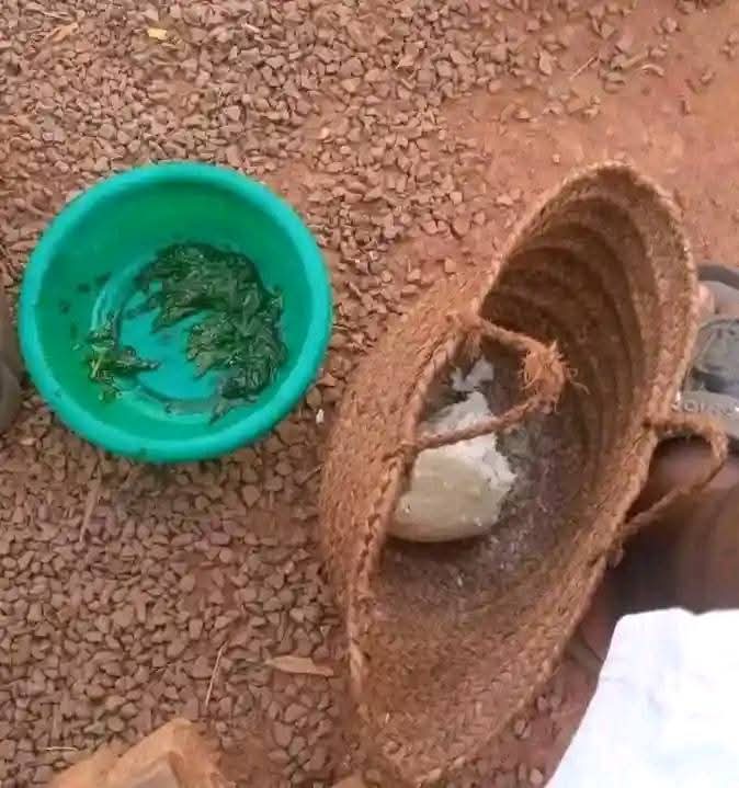 Wari kikahani hedu pkwenye makodza ga mkanju. Kare k'akauya. 

Photo: Kaingu