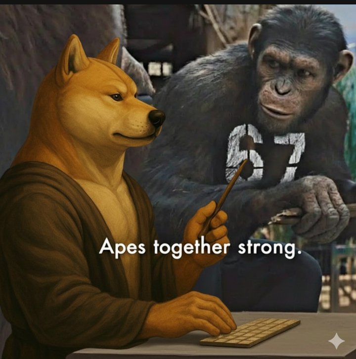 SuipeaceBeacon's tweet image. The meme coin, $67 has been PVP by Pump Cabal, is currently one of the most popular TikTok/Meta trends.

I believe it&apos;s time for Bonk Support to popularize the dog meme $SWOGE before it gets targeted (or &quot;PVP&apos;d&quot;) by the Pump Cabal.

 * Cheems is still holding a $250 Million…