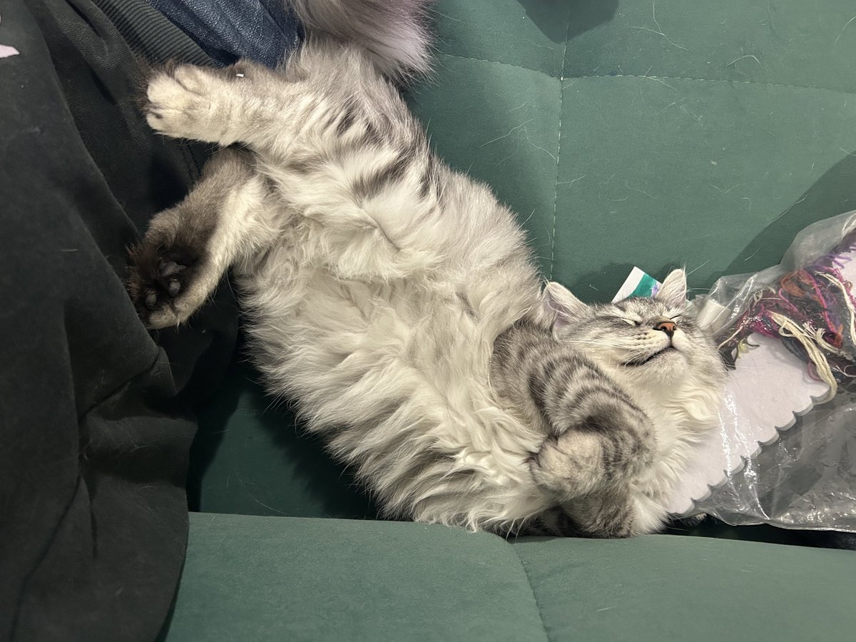 У меня дома тренер по получению удовольствия от жизни.