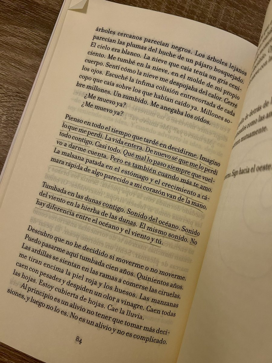 'Dura una eternidad y en un instante se acaba', Anne De Marcken.

«Las únicas cosas que permanecen son las inalcanzables. Las que son demasiado grandes o lejanas o se mueven tan despacio que son indetectables. Siempre serán lo que de verdad son y nunca sabrás qué nombre ponerles»
