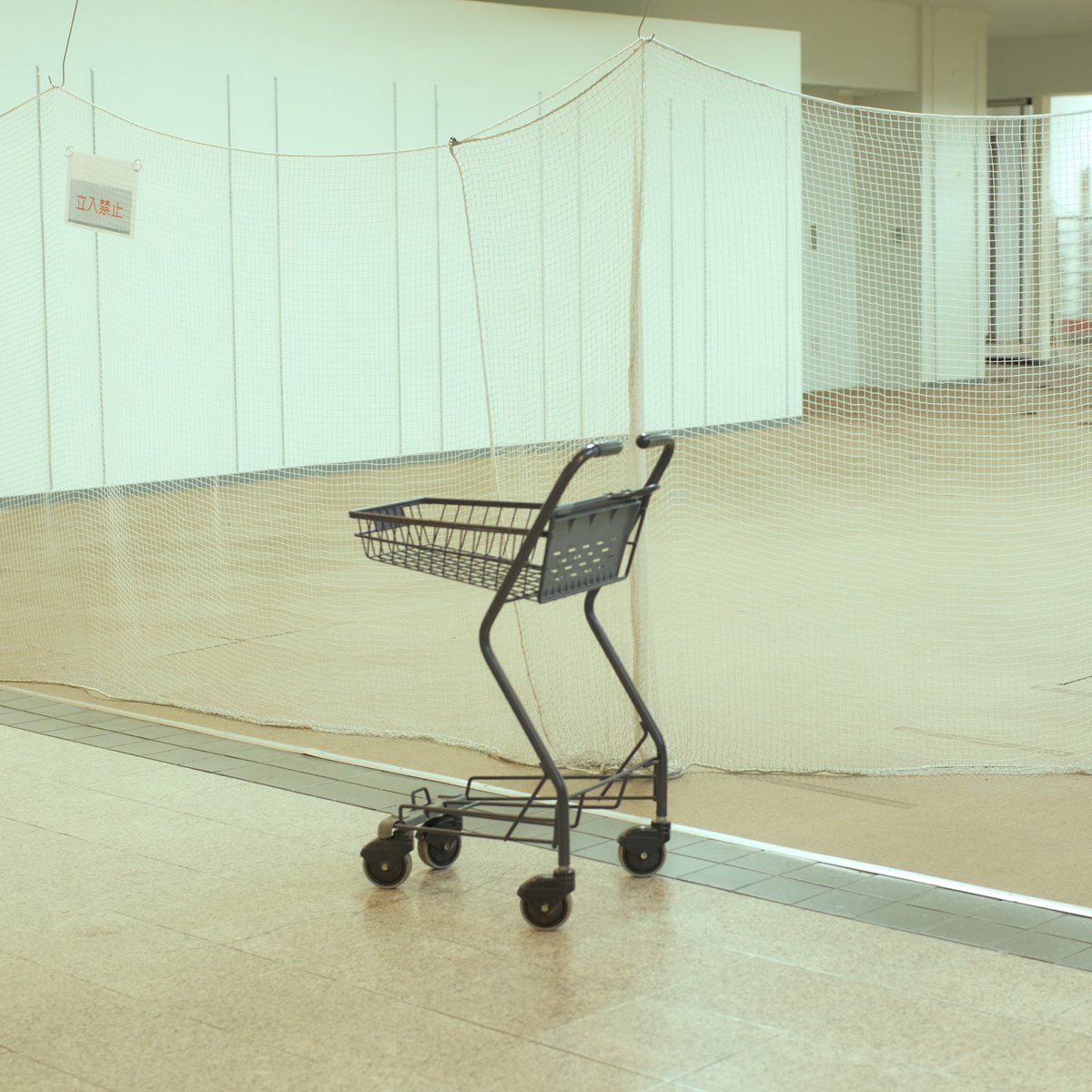 ohayoumadayarou's tweet image. 全曲聴いても14分です、14分だけください
忙しいと思うけど聴いてよかったと思ってもらえるように2年かけて作りました2年かけてこの14分ができたんですもっといったら私の半生詰まってますともあれ2年かけたもの14分で聴けると思ったら超良くない？聴いて聴いてお願いお願い

orcd.co/sokoninaimono