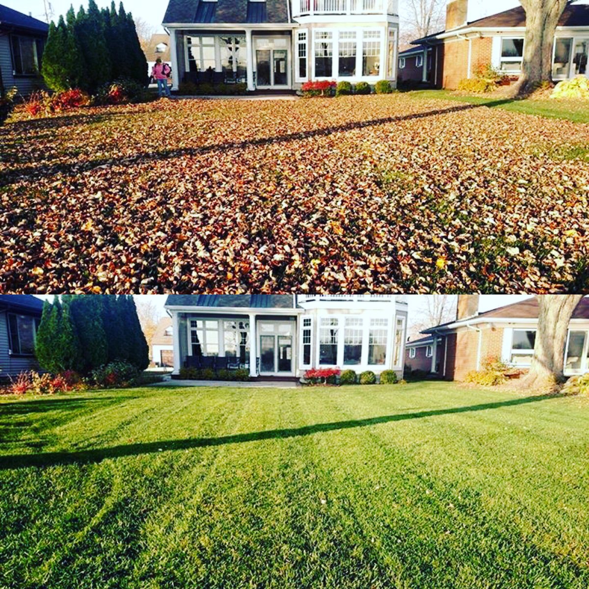 From covered in leaves to clean and crisp! 🍁➡️🌱
Nothing beats a good fall cleanup to bring a lawn back to life.
It’s amazing what a little hard work (and the right equipment) can do.
Who else is deep into leaf season right now? 🍂💪

#lawncare #fall #AutumnVibes #homeowners