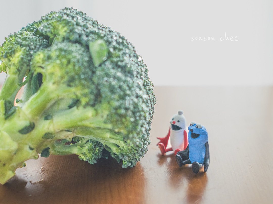 スンスンのブロッコリーでマイクチェックする動画が好きです🥦🎤

#パペットスンスン