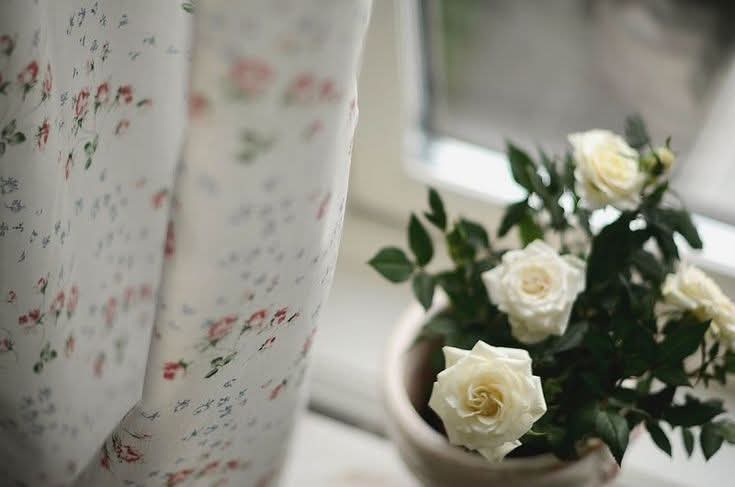 يأتِ بها الله، إنَّ الله لطيفٌ خبير