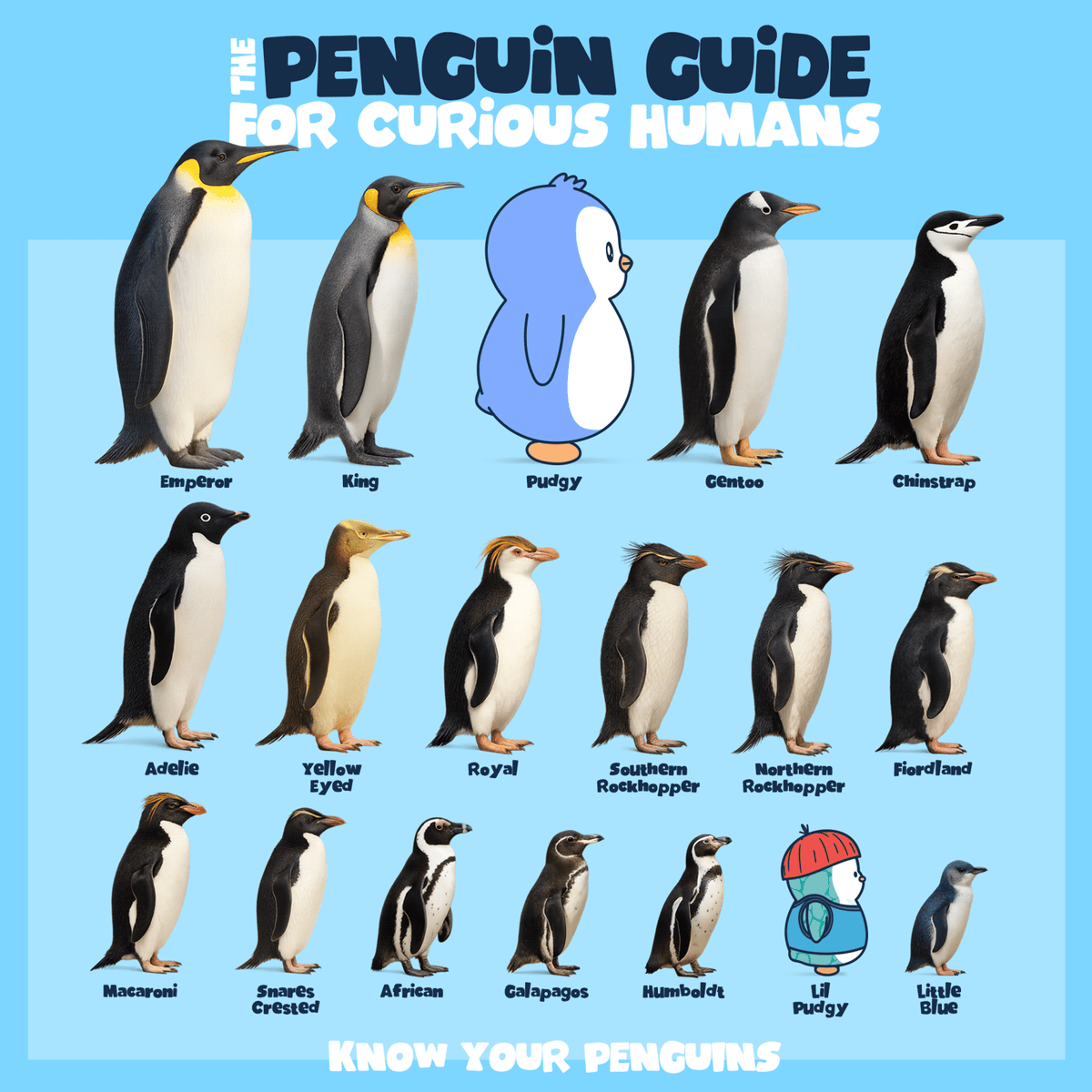 The Penguin guide every biology class needs.