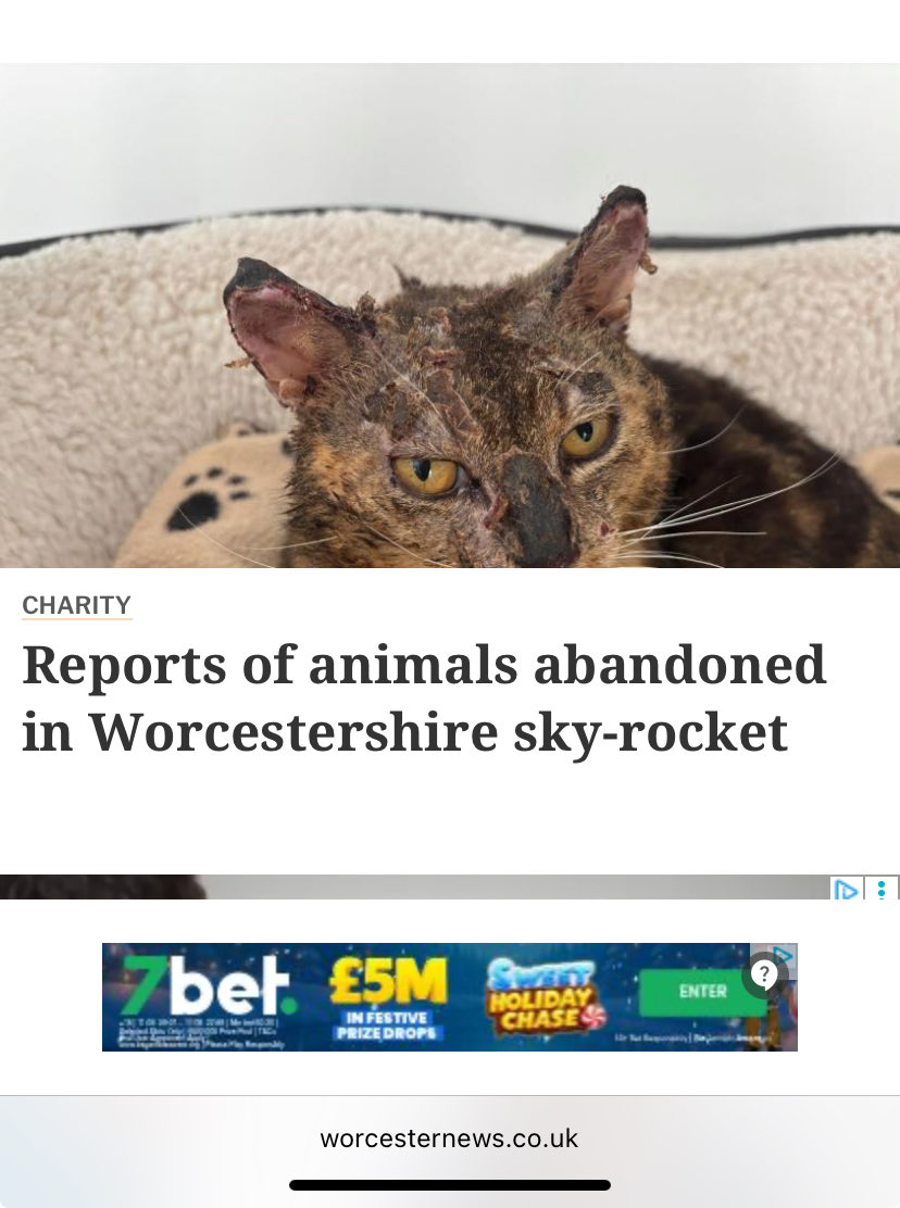 Chris Burrows tweet media