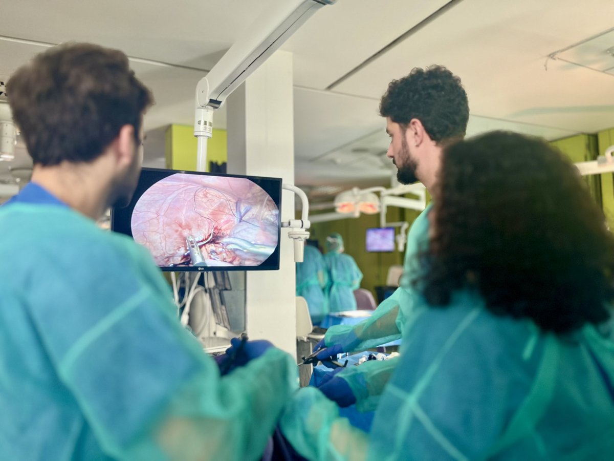 CTF ASACEC tweet media