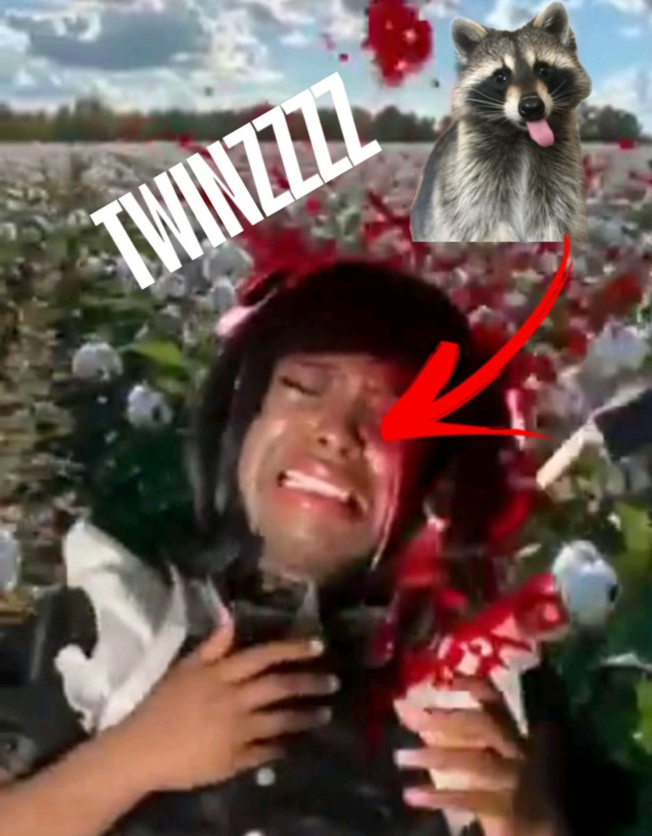 penguindontbelonganywhere tweet media