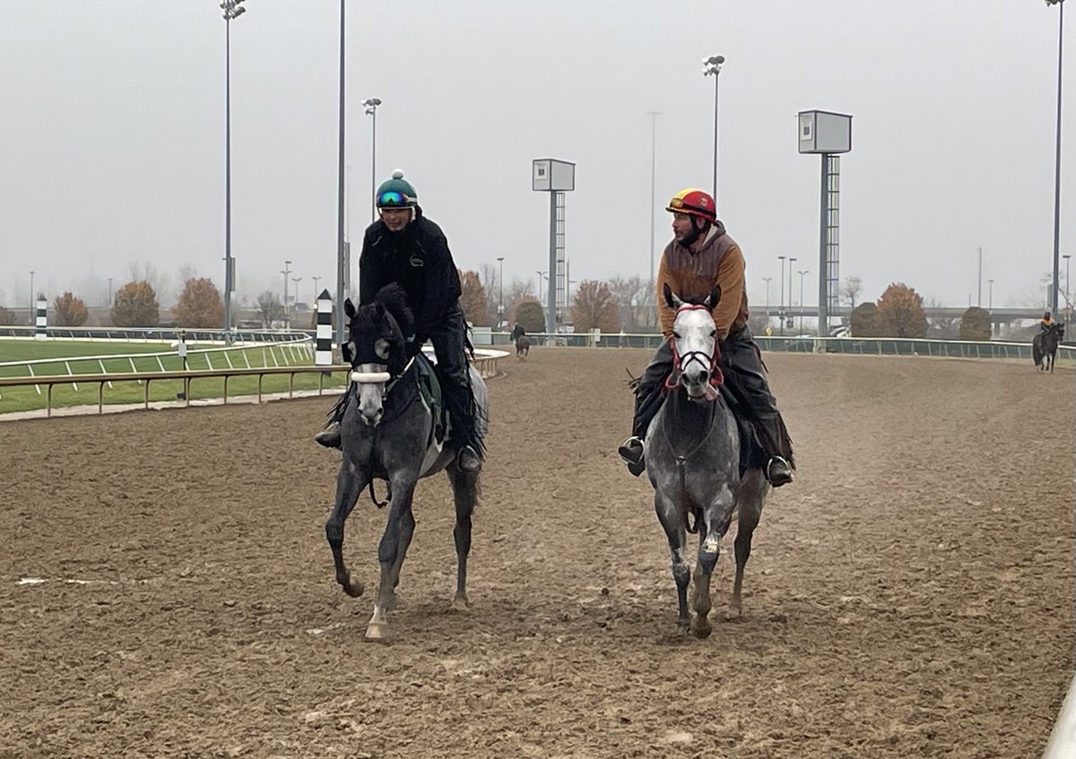HSIndyTammy's tweet image. One week ago today was closing day.  Winter weather has set in, and winter training is in full swing @HSIndyRacing   #racelikeacaesar  @IndianaTOBA @IndianaHBPA @INThoroughbred @IndyTBAlliance