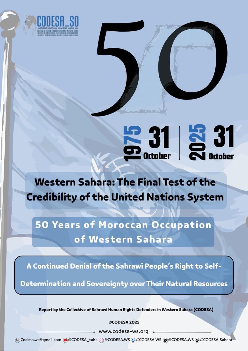Mahjoub Mleiha tweet media